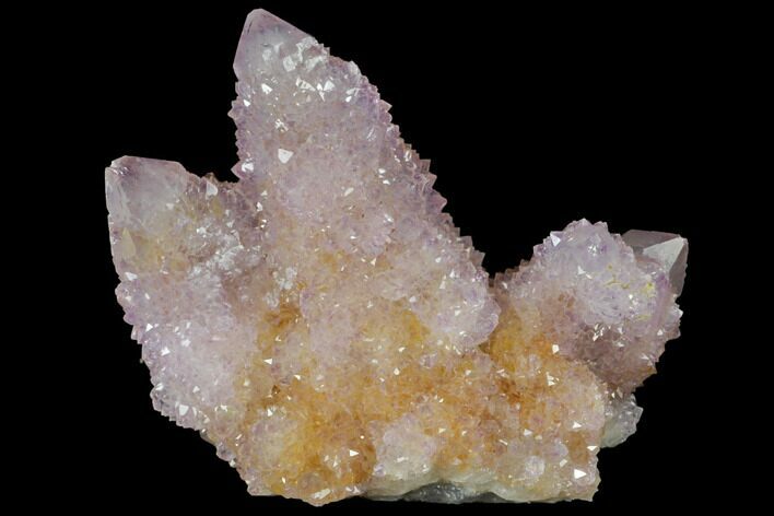 Cactus Quartz (Amethyst) Crystal Cluster - South Africa #132491
